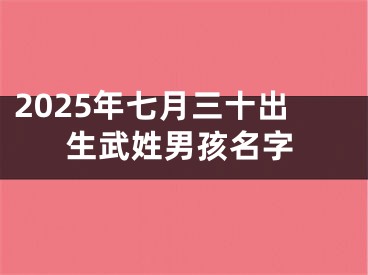 2025年七月三十出生武姓男孩名字