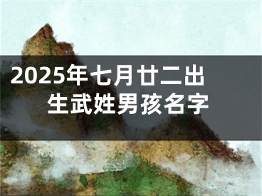 2025年七月廿二出生武姓男孩名字