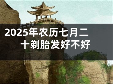 2025年农历七月二十剃胎发好不好
