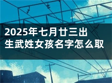2025年七月廿三出生武姓女孩名字怎么取