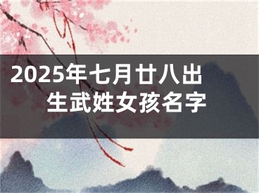 2025年七月廿八出生武姓女孩名字