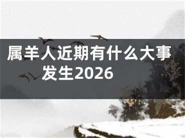 属羊人近期有什么大事发生2026