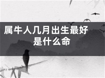 属牛人几月出生最好 是什么命