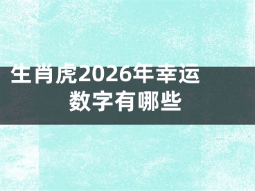 生肖虎2026年幸运数字有哪些