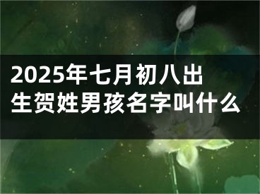 2025年七月初八出生贺姓男孩名字叫什么