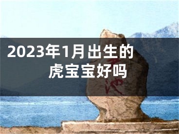 2023年1月出生的虎宝宝好吗