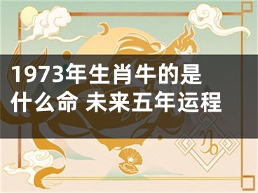 1973年生肖牛的是什么命 未来五年运程