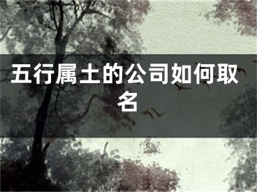 五行属土的公司如何取名