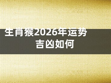 生肖猴2026年运势吉凶如何