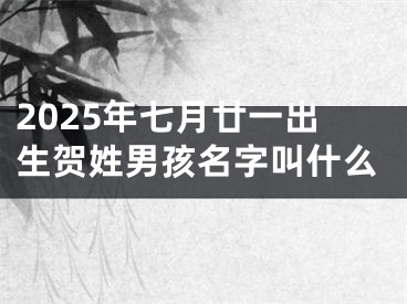 2025年七月廿一出生贺姓男孩名字叫什么