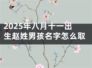 2025年八月十一出生赵姓男孩名字怎么取