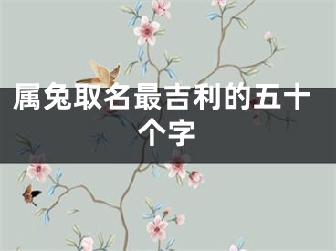 属兔取名最吉利的五十个字