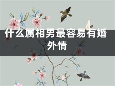 什么属相男最容易有婚外情