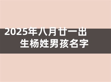 2025年八月廿一出生杨姓男孩名字