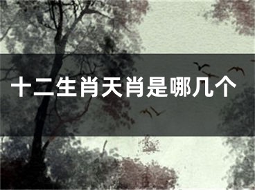 十二生肖天肖是哪几个