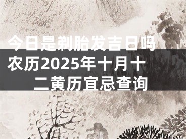 今日是剃胎发吉日吗 农历2025年十月十二黄历宜忌查询