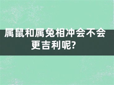 属鼠和属兔相冲会不会更吉利呢?