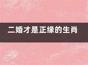 二婚才是正缘的生肖