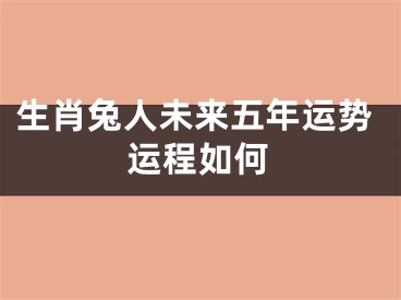 生肖兔人未来五年运势运程如何