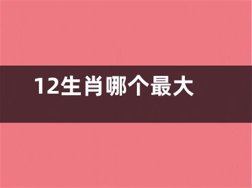 12生肖哪个最大