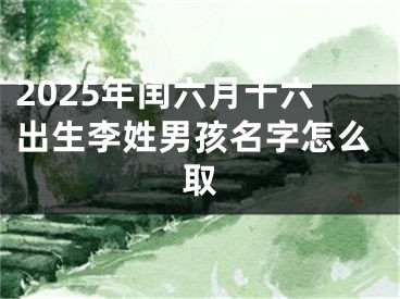 2025年闰六月十六出生李姓男孩名字怎么取
