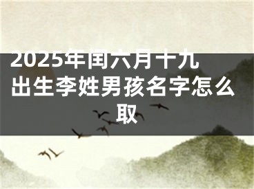 2025年闰六月十九出生李姓男孩名字怎么取