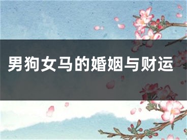 男狗女马的婚姻与财运
