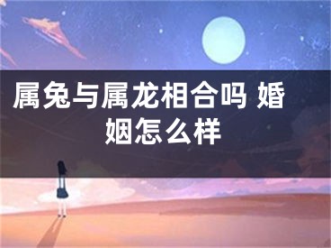 属兔与属龙相合吗 婚姻怎么样
