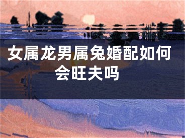 女属龙男属兔婚配如何 会旺夫吗