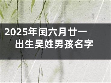 2025年闰六月廿一出生吴姓男孩名字