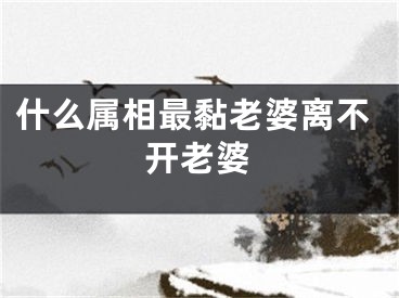 什么属相最黏老婆离不开老婆