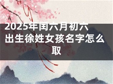 2025年闰六月初六出生徐姓女孩名字怎么取