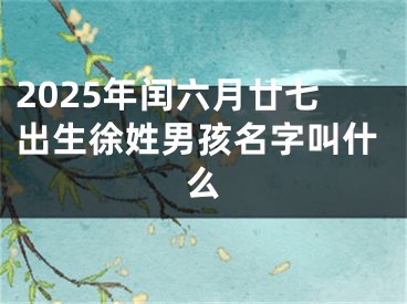 2025年闰六月廿七出生徐姓男孩名字叫什么