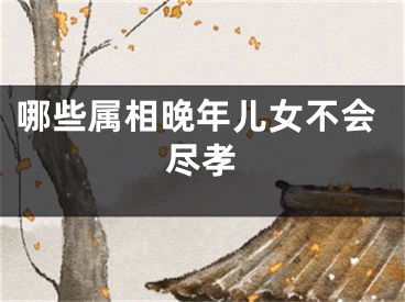 哪些属相晚年儿女不会尽孝