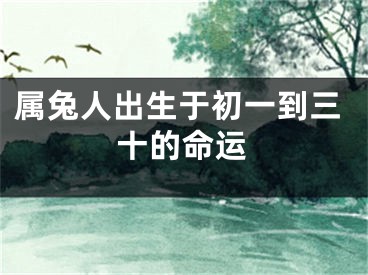 属兔人出生于初一到三十的命运