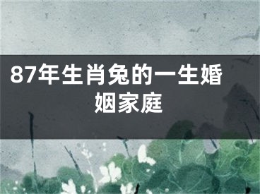 87年生肖兔的一生婚姻家庭