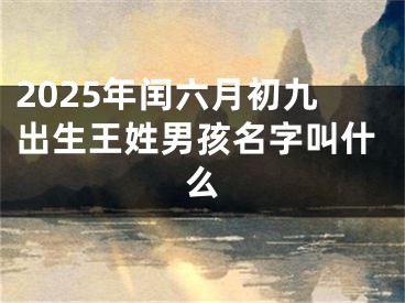 2025年闰六月初九出生王姓男孩名字叫什么