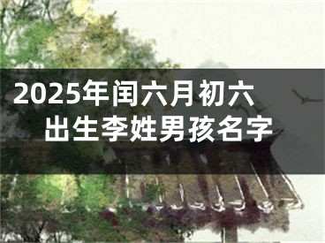 2025年闰六月初六出生李姓男孩名字