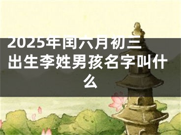2025年闰六月初三出生李姓男孩名字叫什么