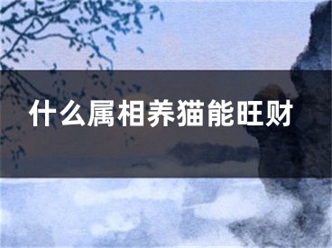 什么属相养猫能旺财