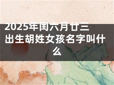 2025年闰六月廿三出生胡姓女孩名字叫什么