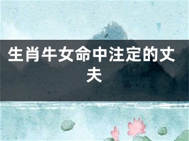 生肖牛女命中注定的丈夫