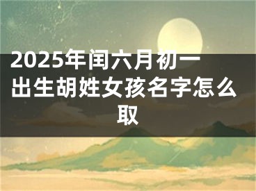 2025年闰六月初一出生胡姓女孩名字怎么取