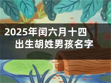 2025年闰六月十四出生胡姓男孩名字