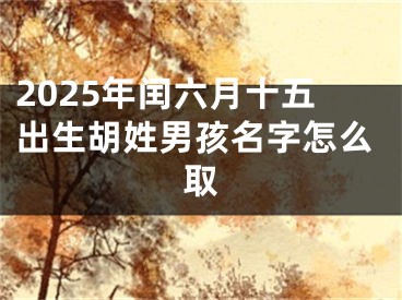 2025年闰六月十五出生胡姓男孩名字怎么取