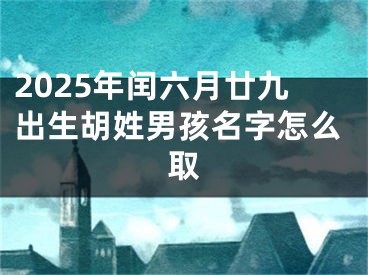 2025年闰六月廿九出生胡姓男孩名字怎么取