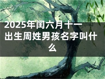 2025年闰六月十一出生周姓男孩名字叫什么