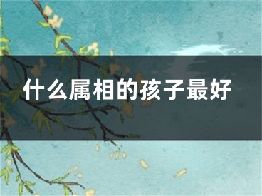 什么属相的孩子最好