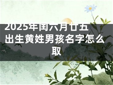 2025年闰六月廿五出生黄姓男孩名字怎么取