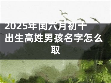 2025年闰六月初十出生高姓男孩名字怎么取